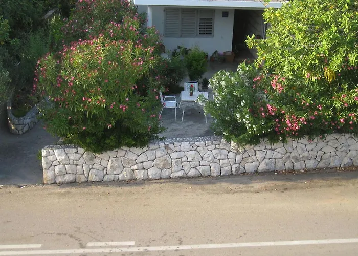 Barko And フヴァル