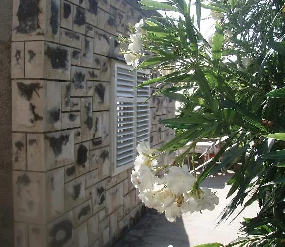 Barko And フヴァル