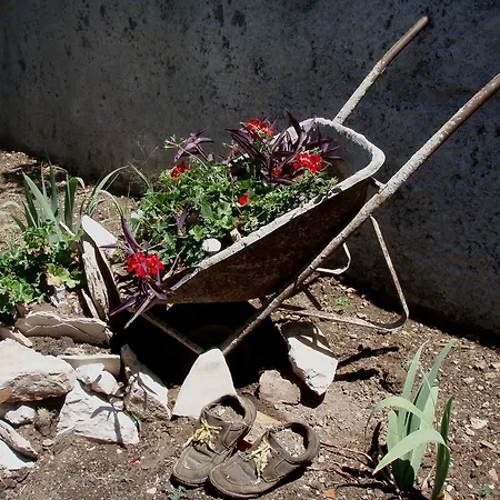 Barko And Appartement *