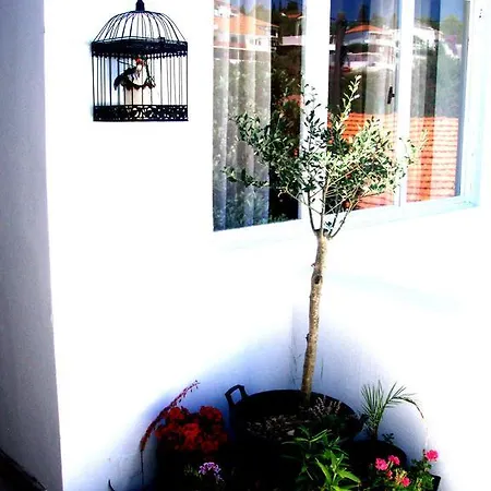 Barko And * Χβαρ