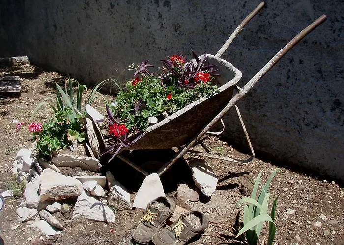 Barko And Appartement *