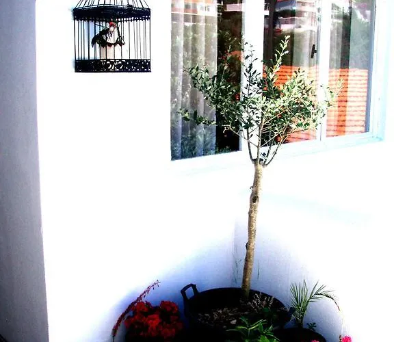 Barko And * Hvar Town